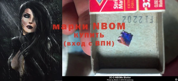 соль ск Богданович