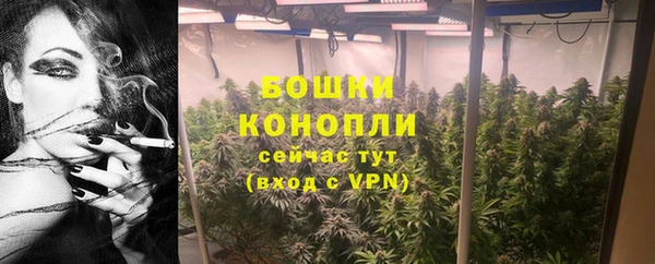 соль ск Богданович