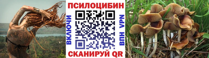 наркота  Кострома  Псилоцибиновые грибы ЛСД 